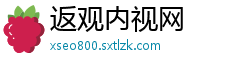 返观内视网